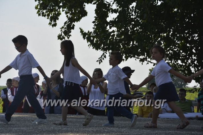 alexandriamou.gr_trikala28.5.2018409